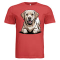 SOLID RED TRIBLN - FRONT